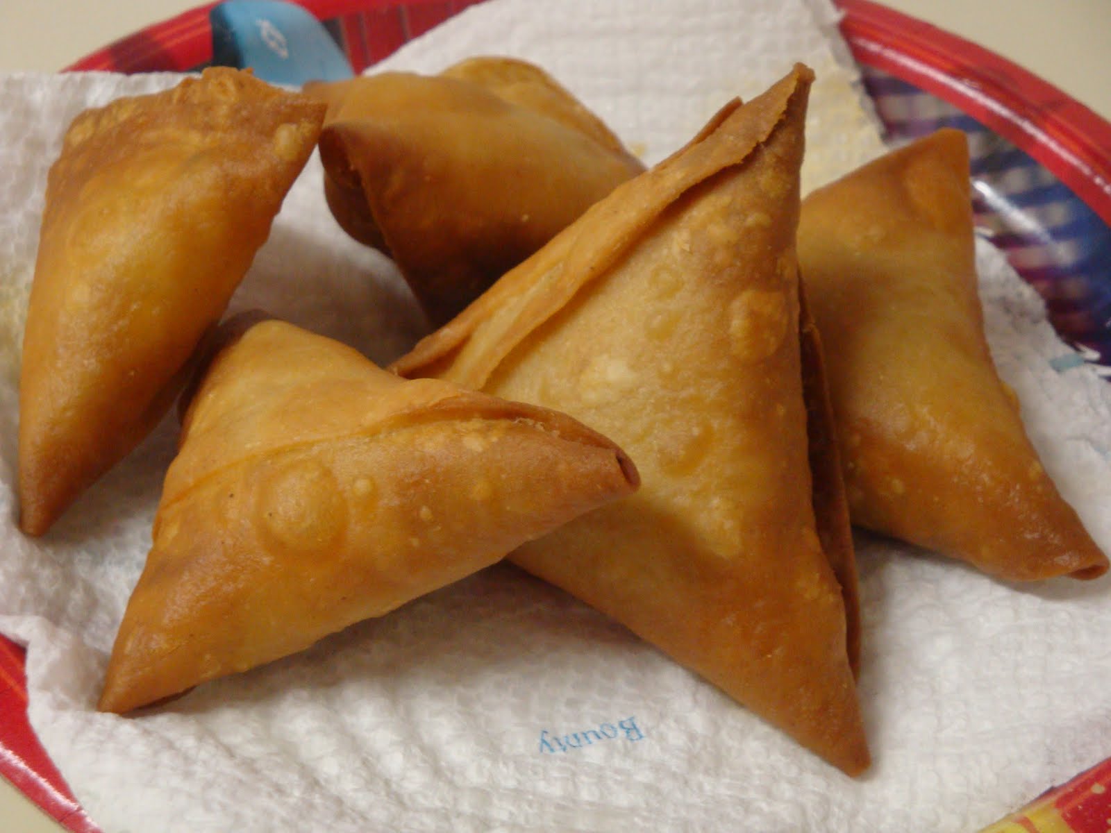 Meat Samosa (2)